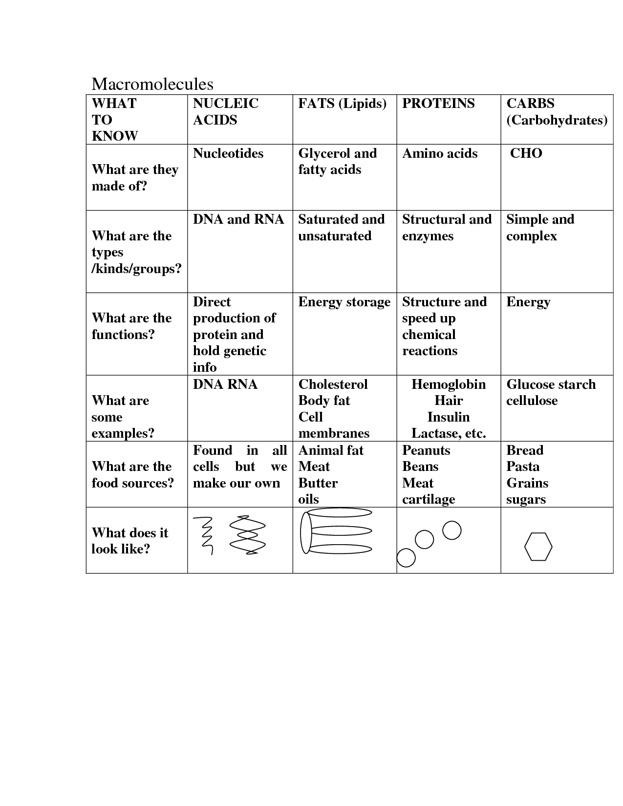 Macromolecules Chart Worksheet