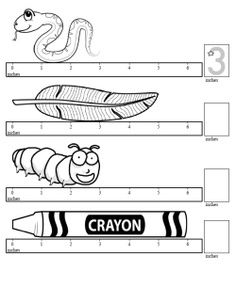 Measurement Worksheets 2nd Grade