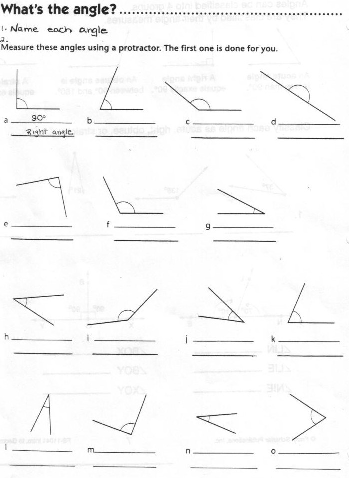 15 Different Types Of Angles Worksheet Worksheeto