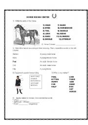 Horse Activity Worksheets