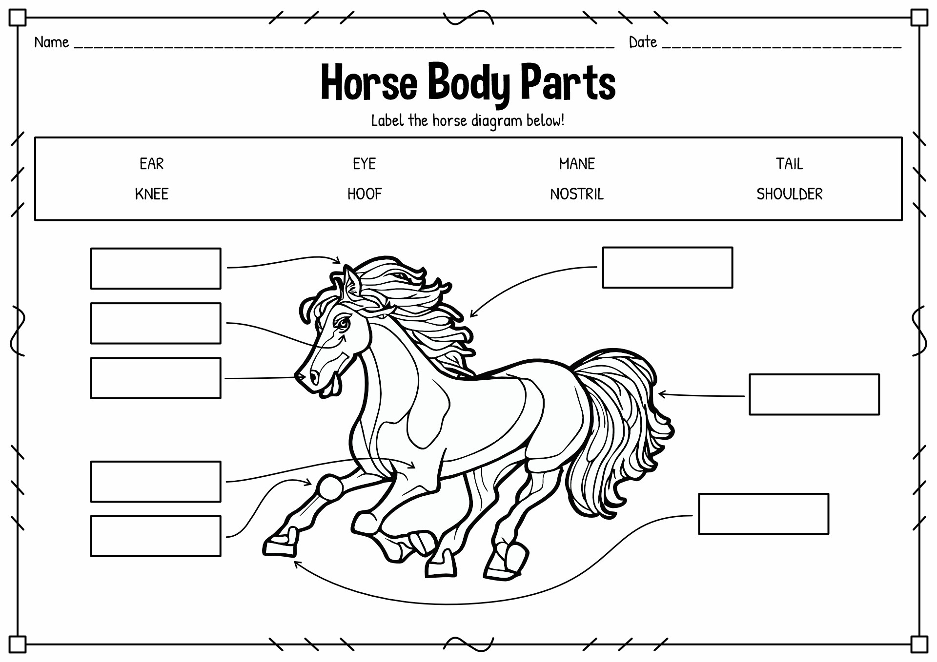 19 Best Images of Worksheet Parts Of A Horse Pony Club - Part Western ...