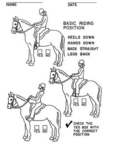 Horse Riding Posture Worksheet