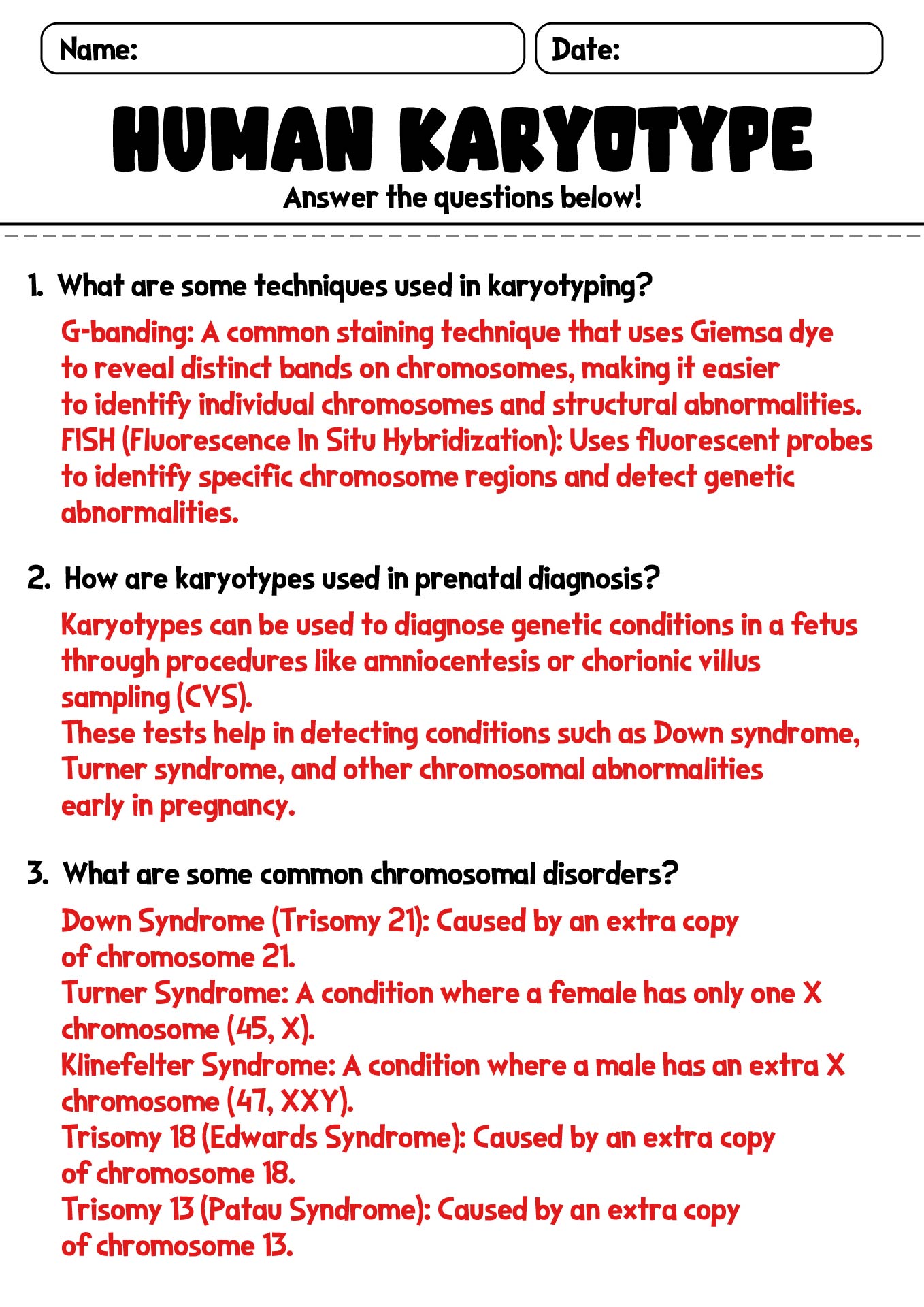 12 Karyotype Worksheet Answers Biology Worksheeto