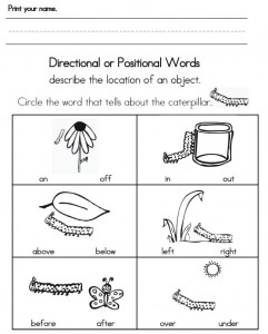 Kindergarten Position Words Worksheet