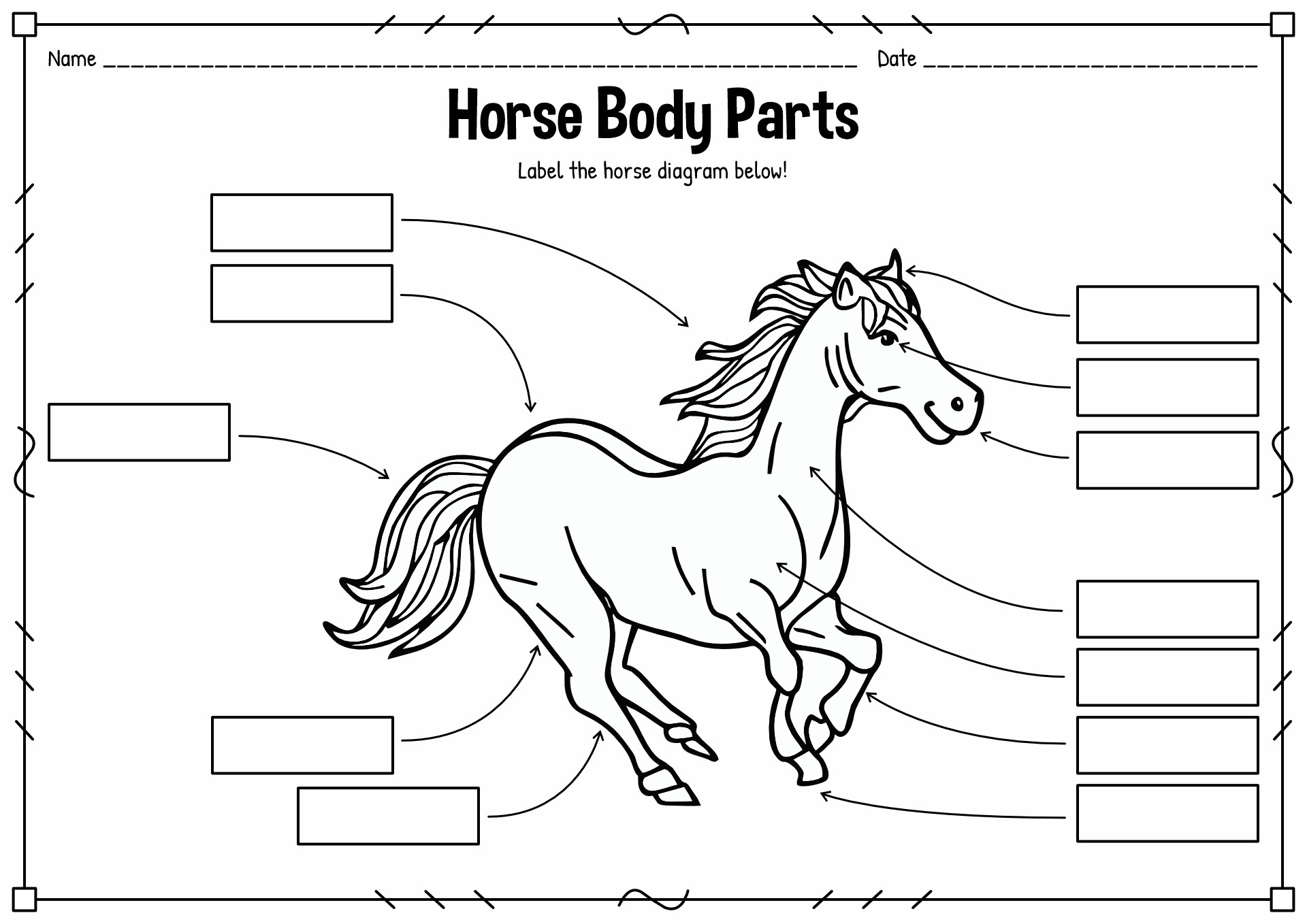 19 Best Images of Worksheet Parts Of A Horse Pony Club - Part Western ...
