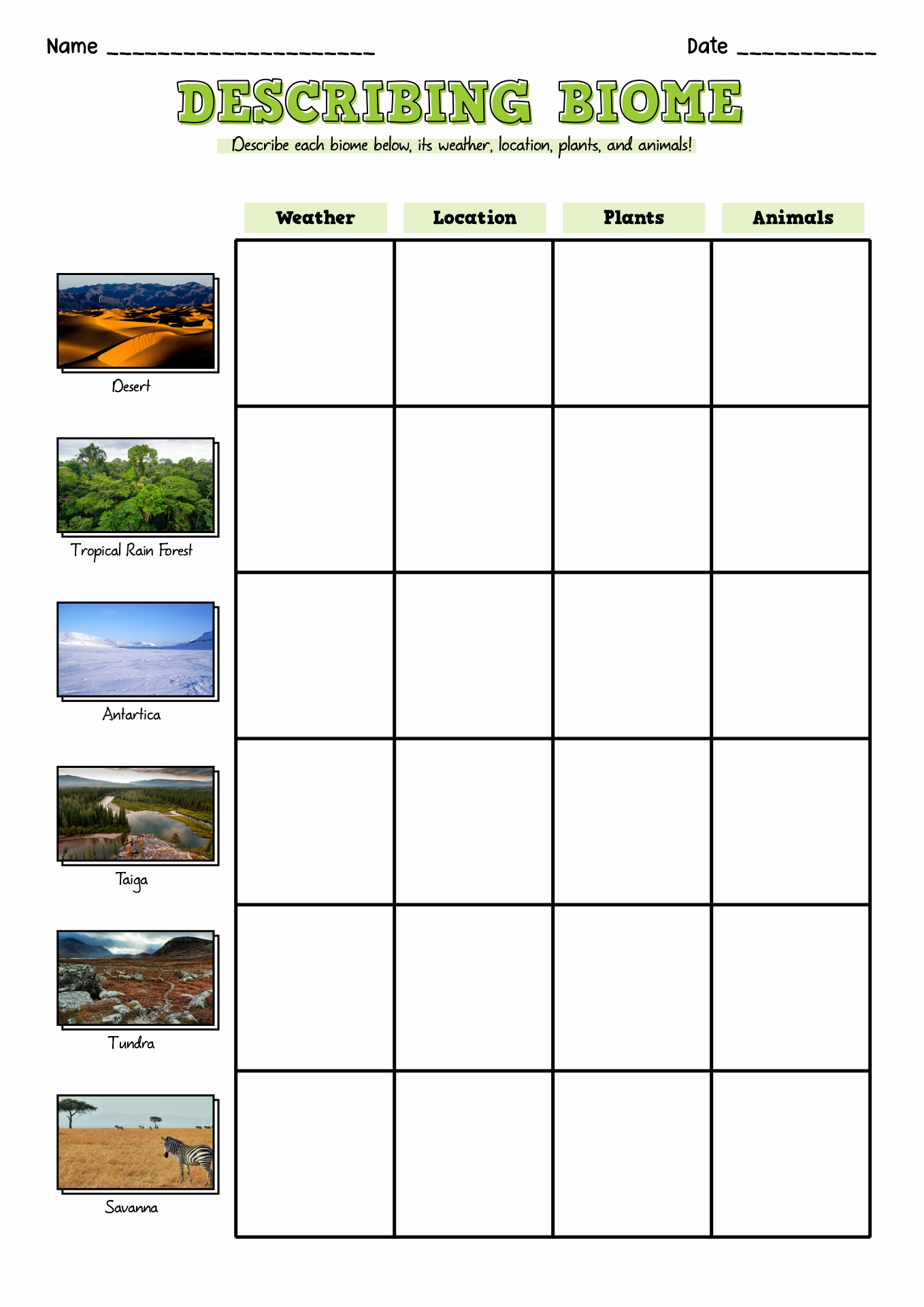biome research project worksheet