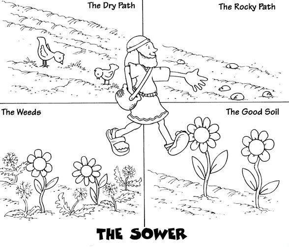 Sower Seed Parable Coloring Page