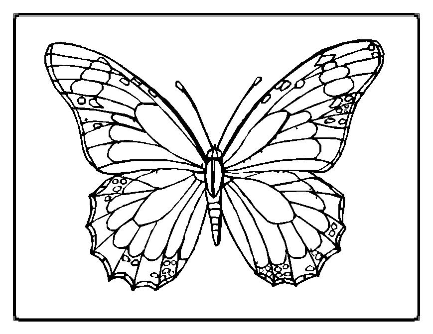 Butterflies Coloring Page