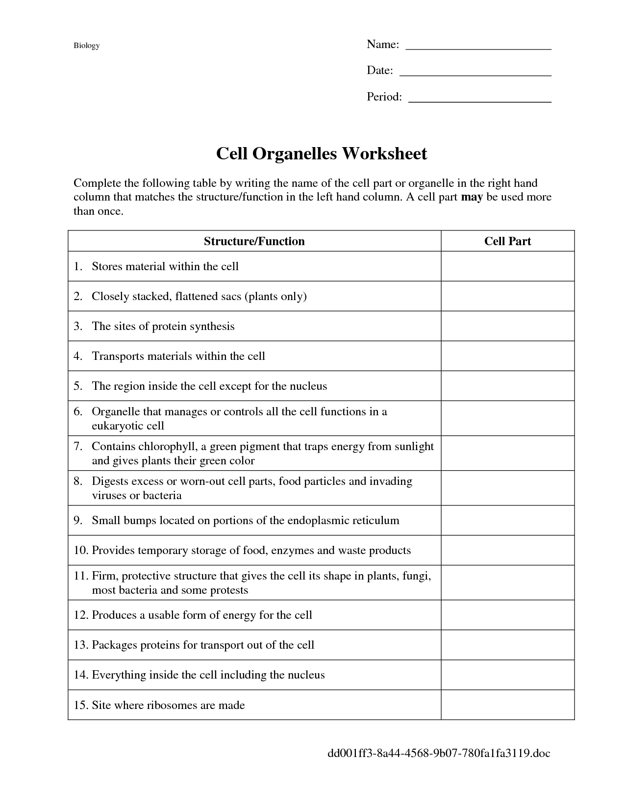 Cell Organelles Worksheet Answers