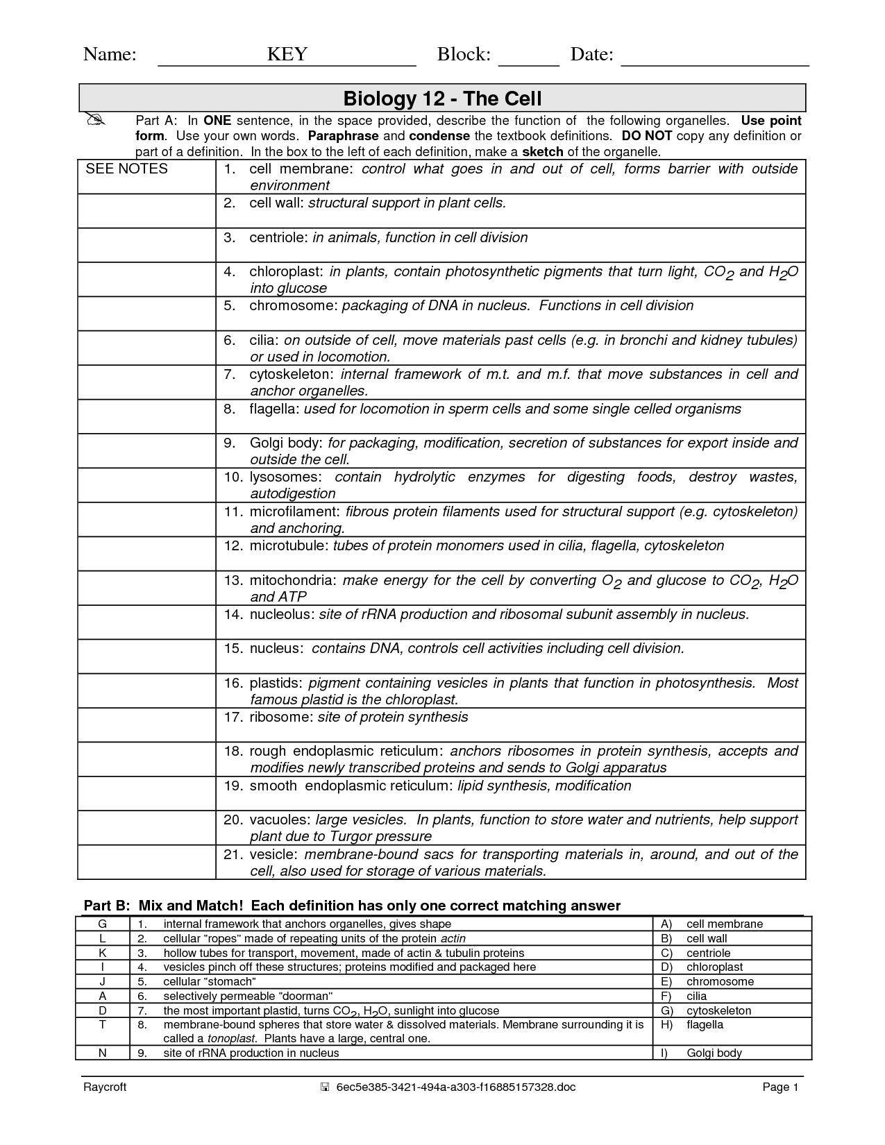 Cell Structure and Function Worksheets Answer Key