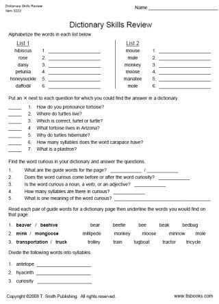 Dictionary Skills Worksheets