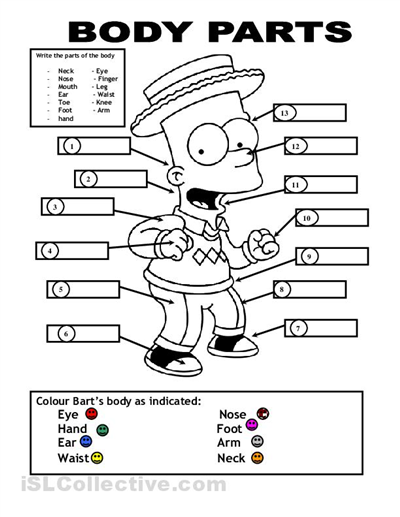 Printable ESL Worksheets Body Parts