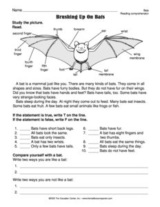 Reading Informational Text Worksheet