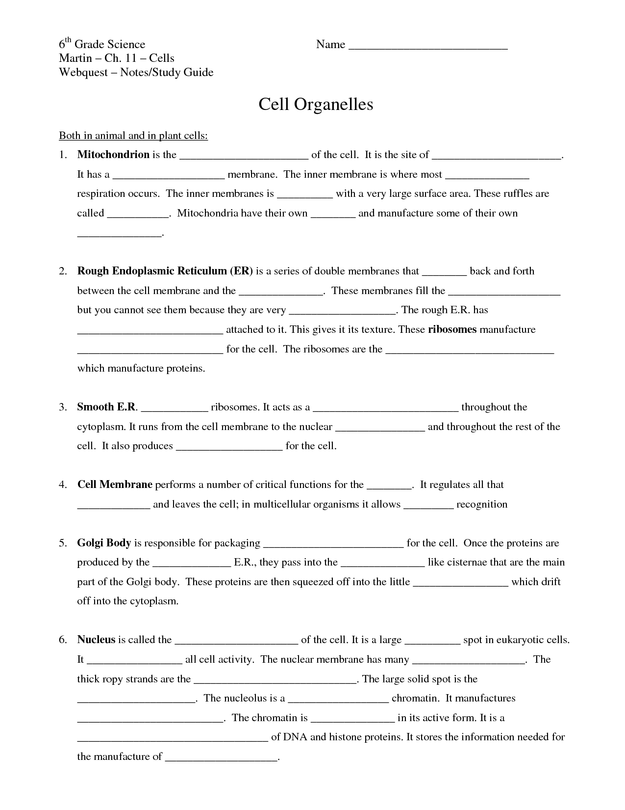 6th Grade Science Worksheets