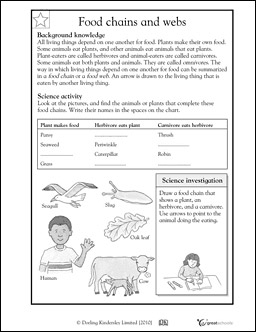 11 Best Images of Food Chain Worksheets 2nd Grade - Food Chain ...