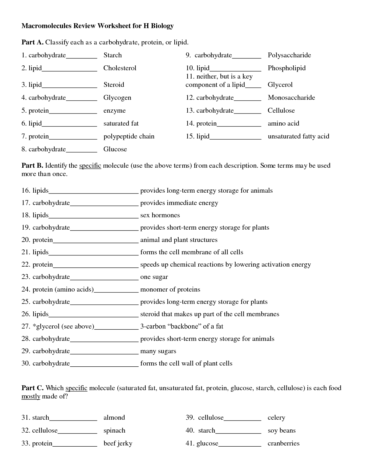 14 Biological Molecules Worksheet Answers Worksheeto