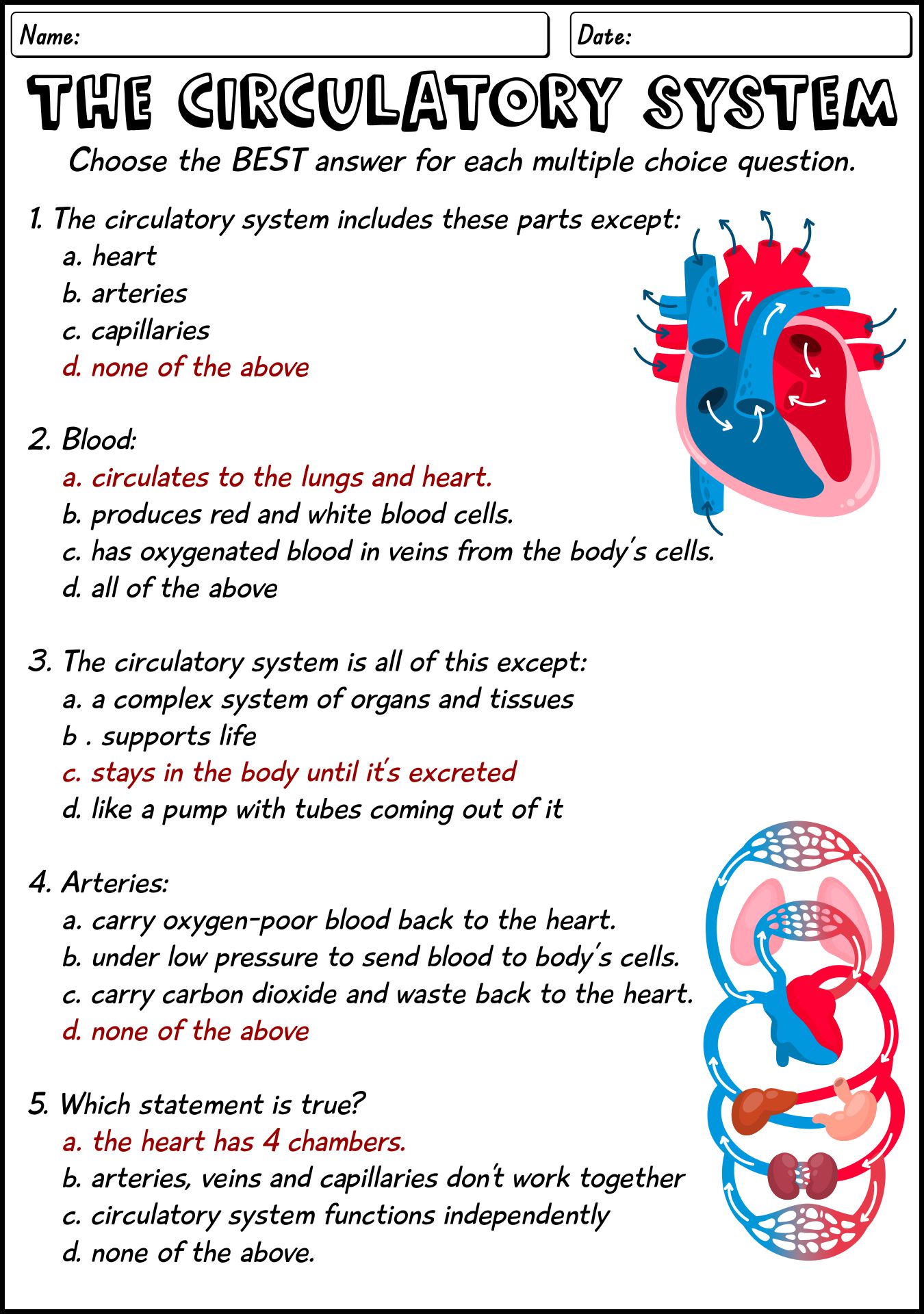 18 Circulatory System Worksheets And Answers Worksheeto