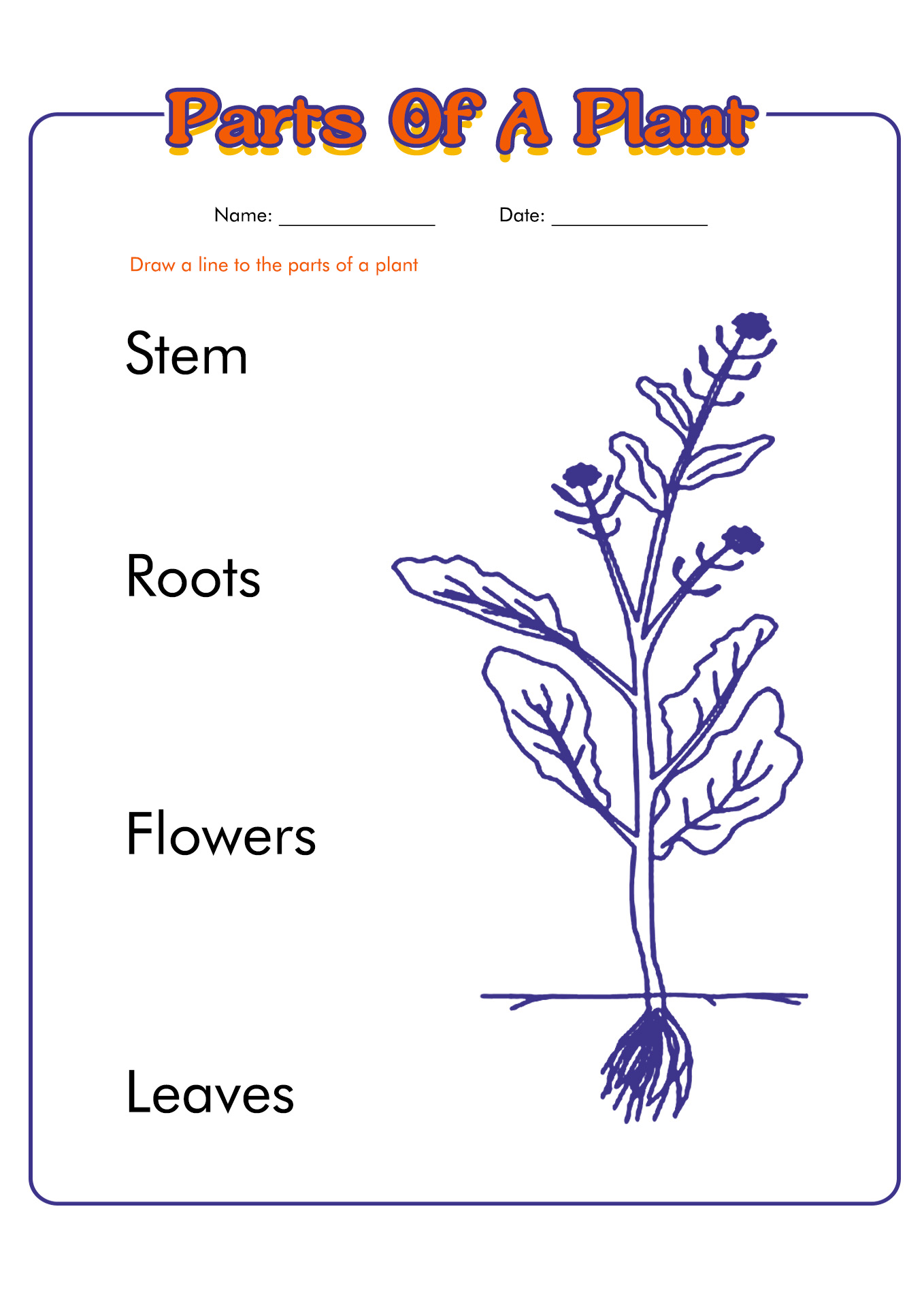 14 Plant Worksheets For Grade 1 Worksheeto