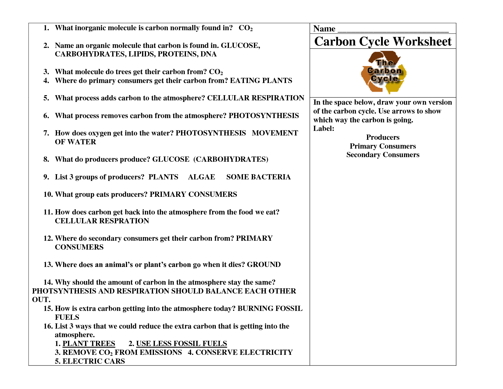 Carbon Cycle Worksheet Answers