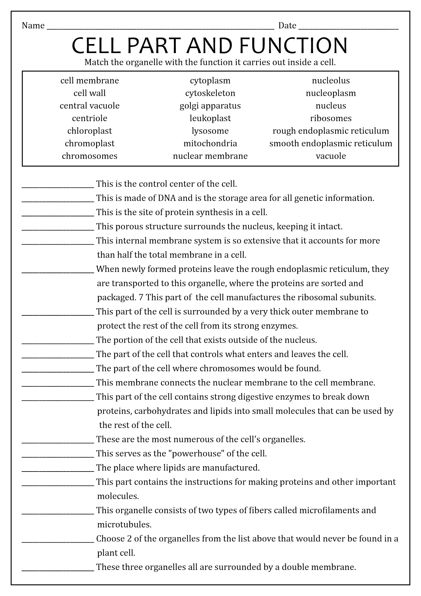 17 Cells And Their Organelles Worksheet Free PDF At Worksheeto