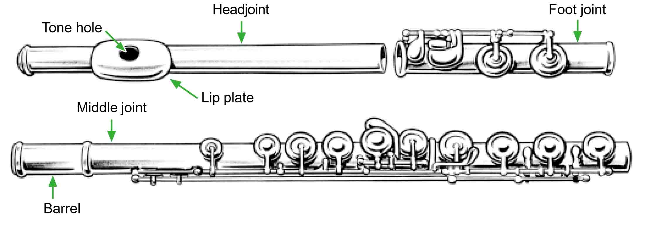 Flute Parts Diagram