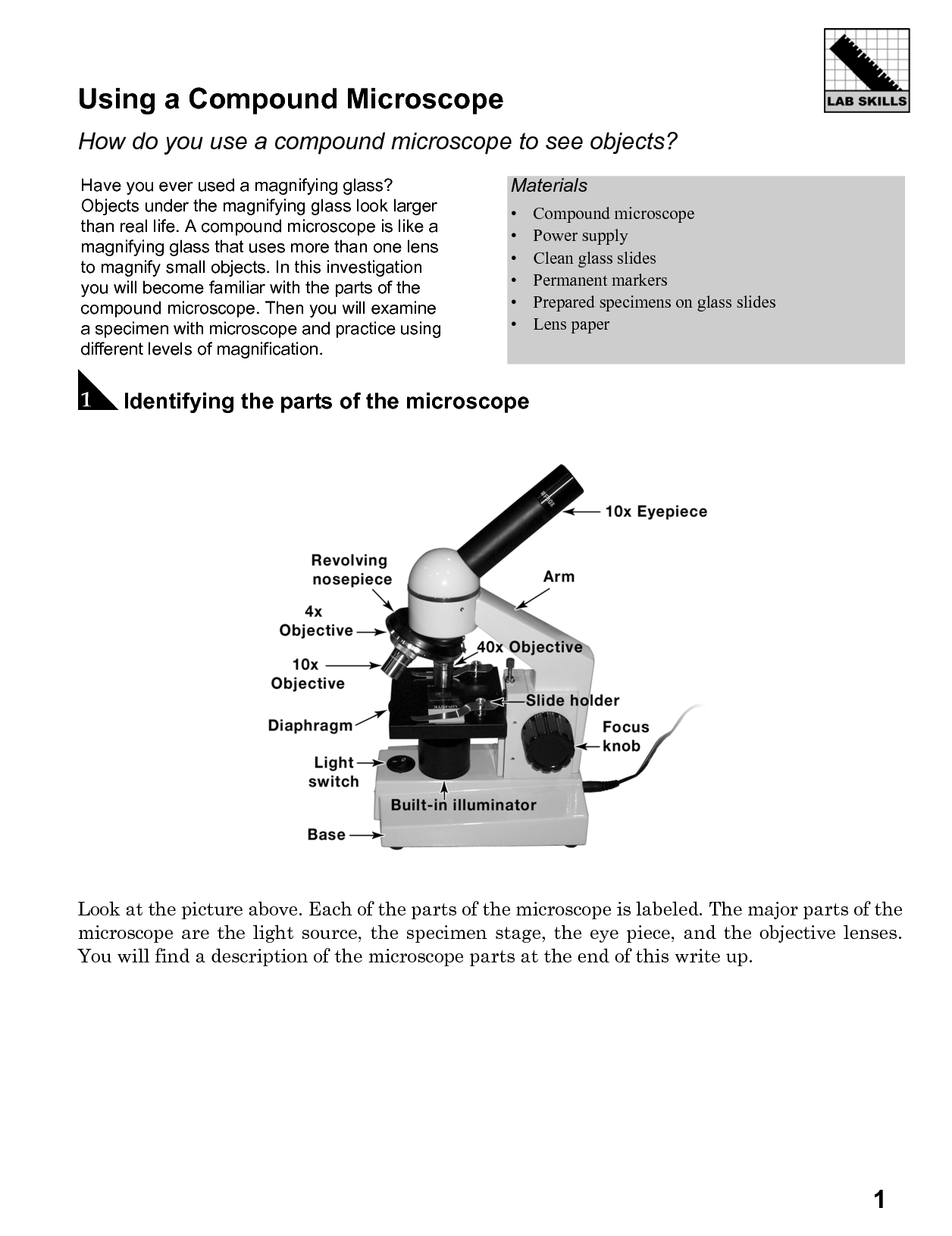 Compound Light Microscope Parts Worksheet