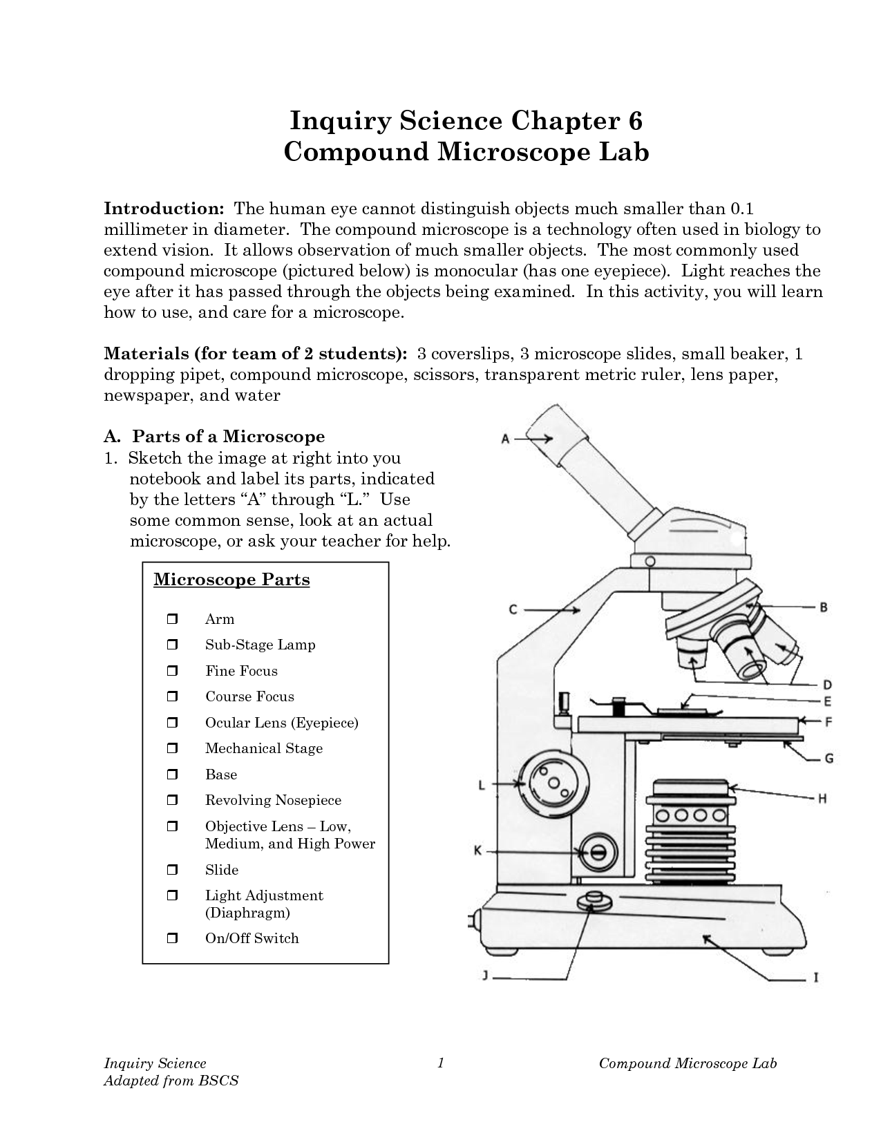 17-microscope-activity-worksheets-worksheeto