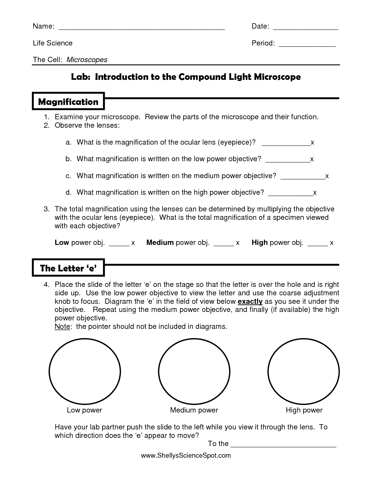 Compound Microscope Lab Activity