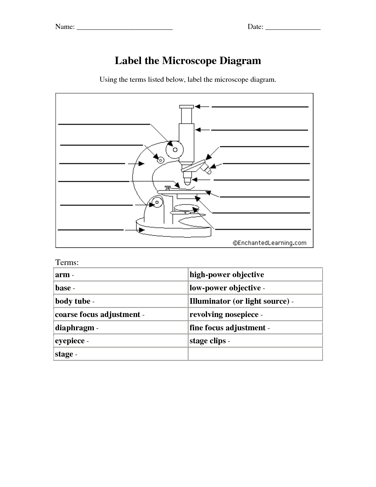 Microscope Diagram Worksheet