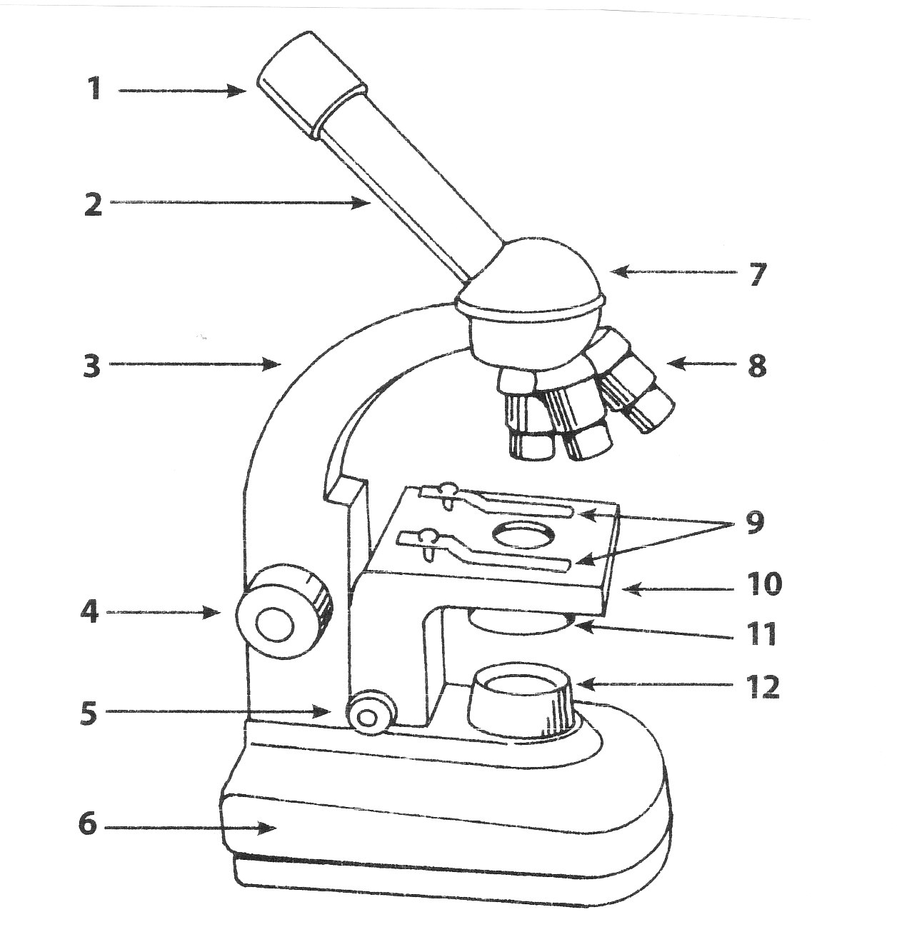 Microscope Parts Quiz Worksheet