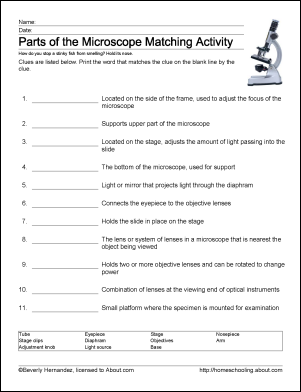 Microscope Parts Worksheet Answers