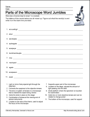 Microscope Parts Worksheet Answers