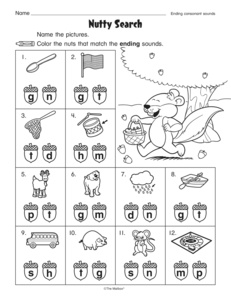 Consonant Ending Sounds Worksheets