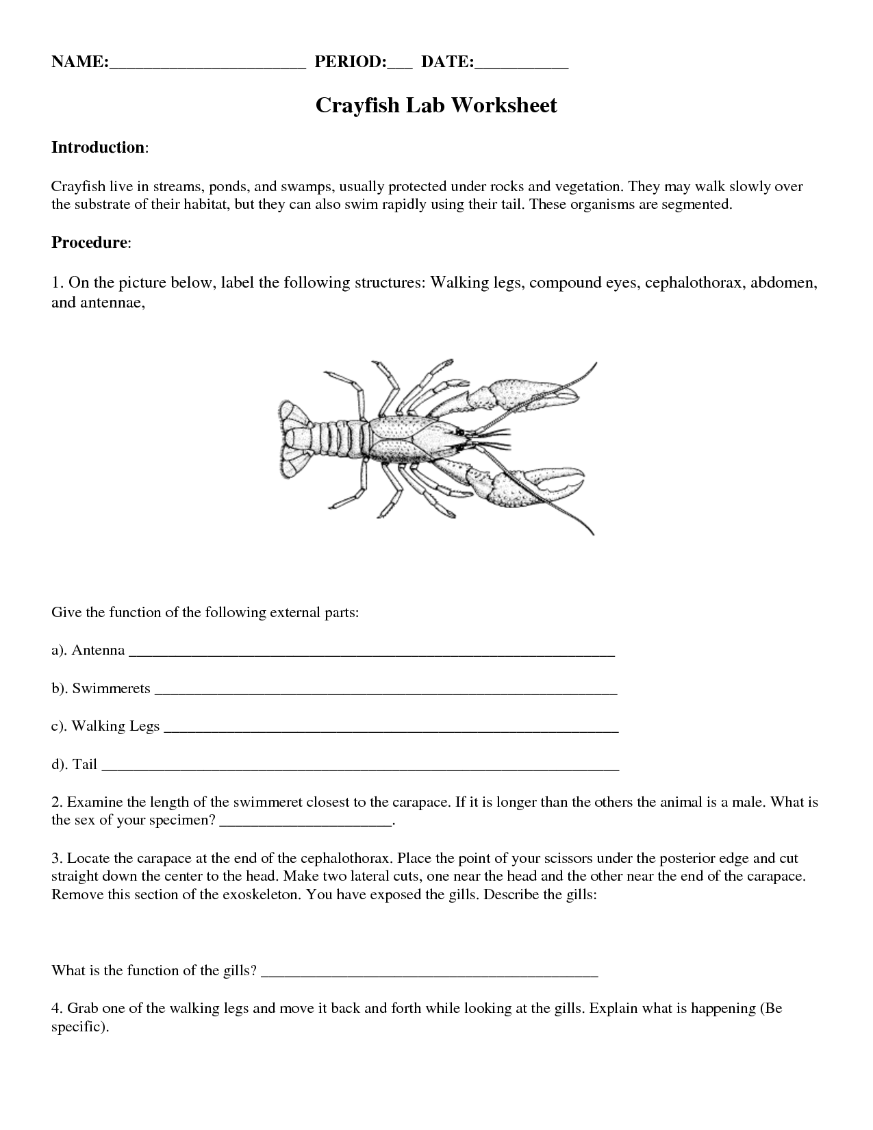 18 Printable Lab Worksheet Worksheeto