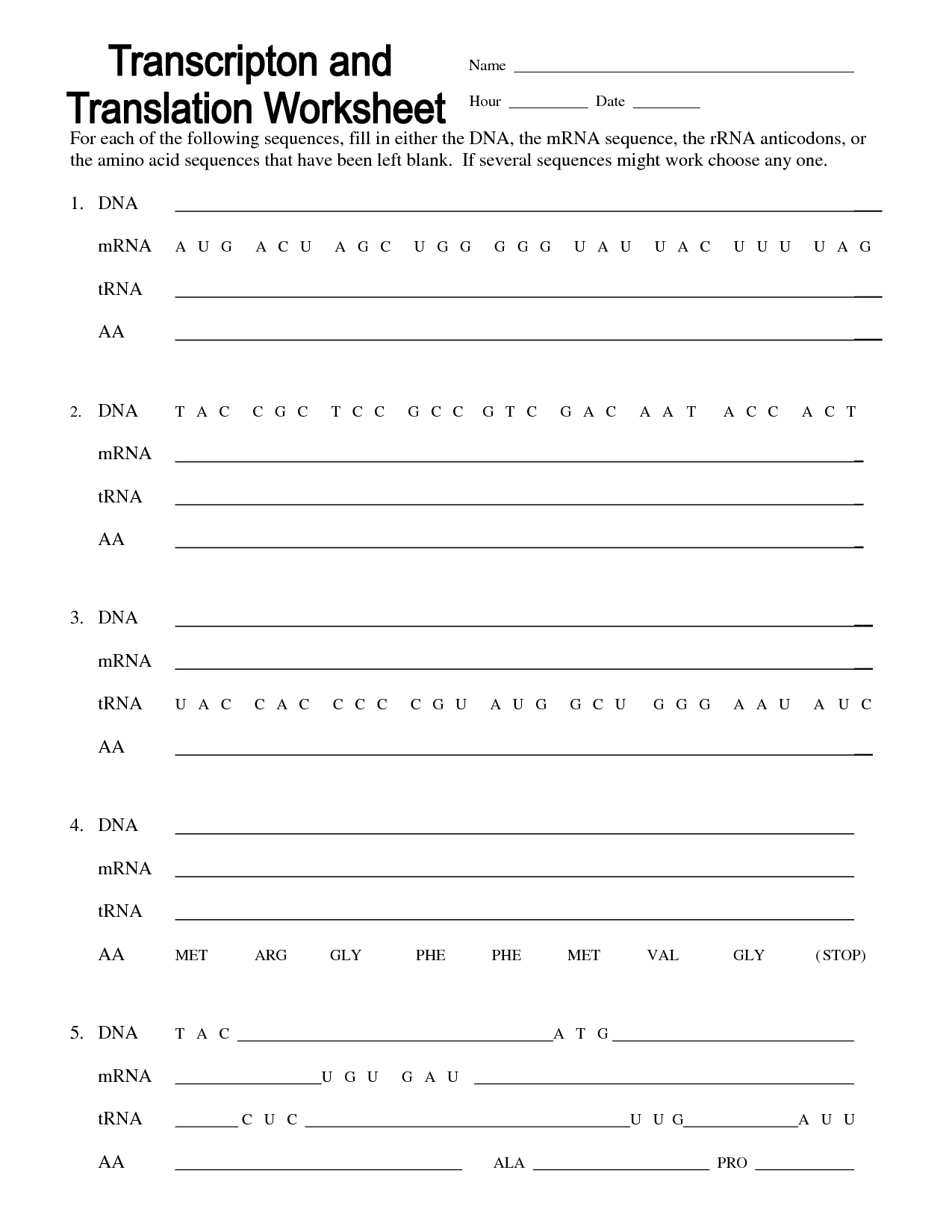 DNA Transcription and Translation Worksheet