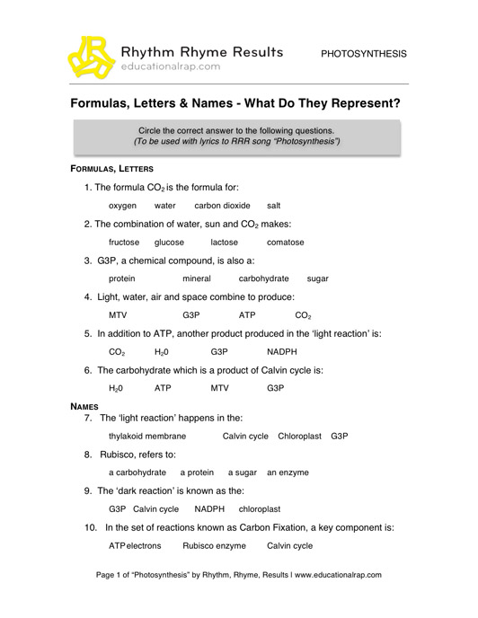 Free Photosynthesis Worksheets