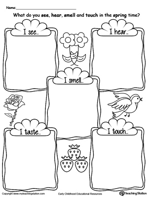 Five Senses Kindergarten Worksheets