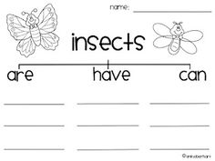 13 Best Images of 3rd Grade Insect Worksheets / worksheeto.com
