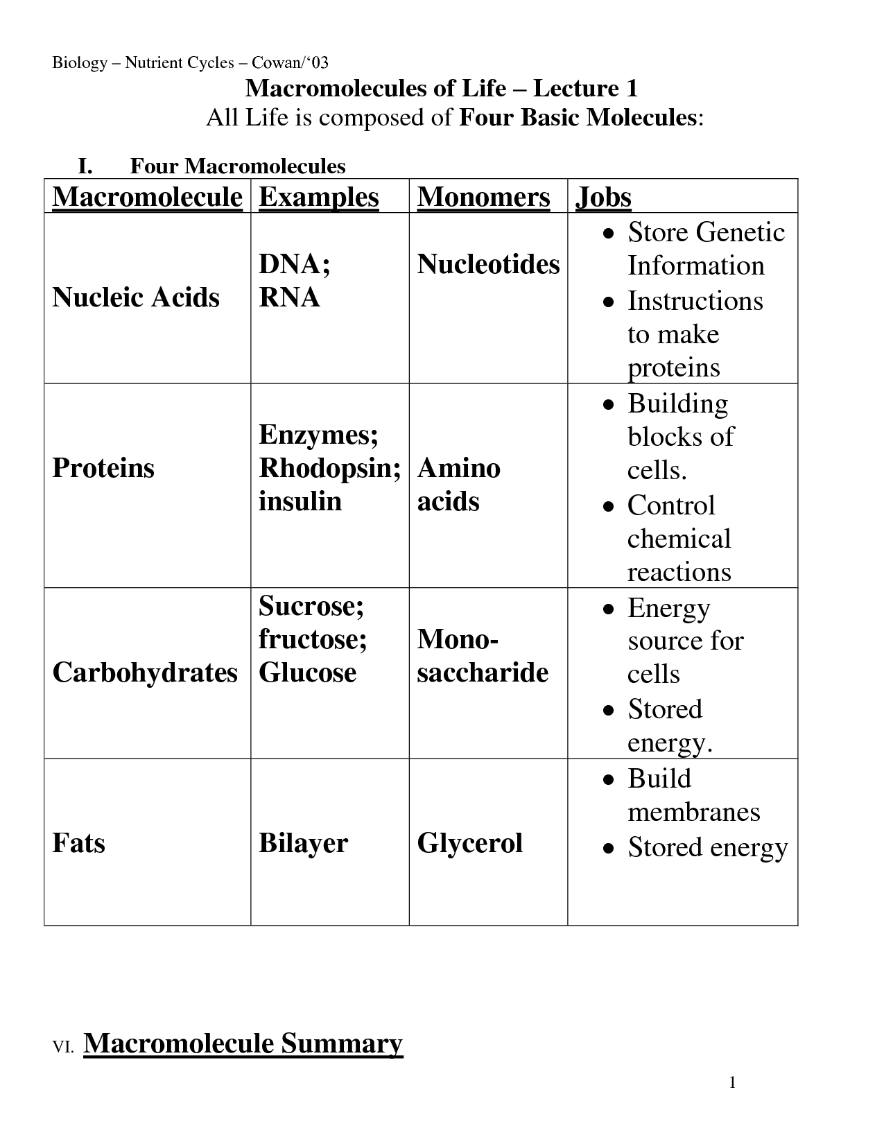 12 Biology Macromolecules Worksheets Worksheeto