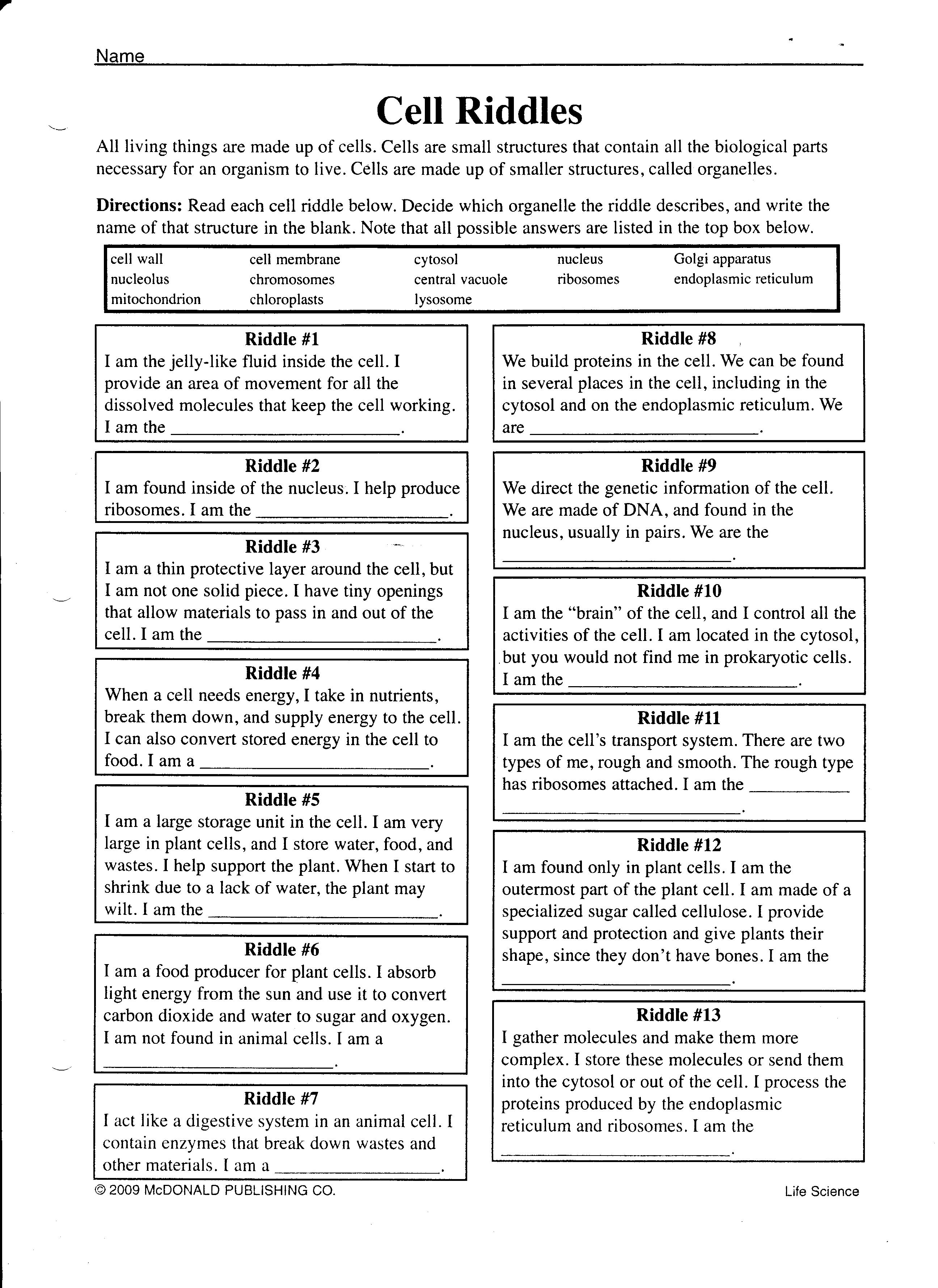 16 Cell Structure And Processes Worksheet Worksheeto