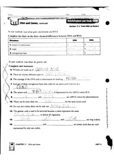 DNA and Genes Worksheet Answer Key