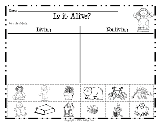 Living and Non-Living Worksheet First Grade