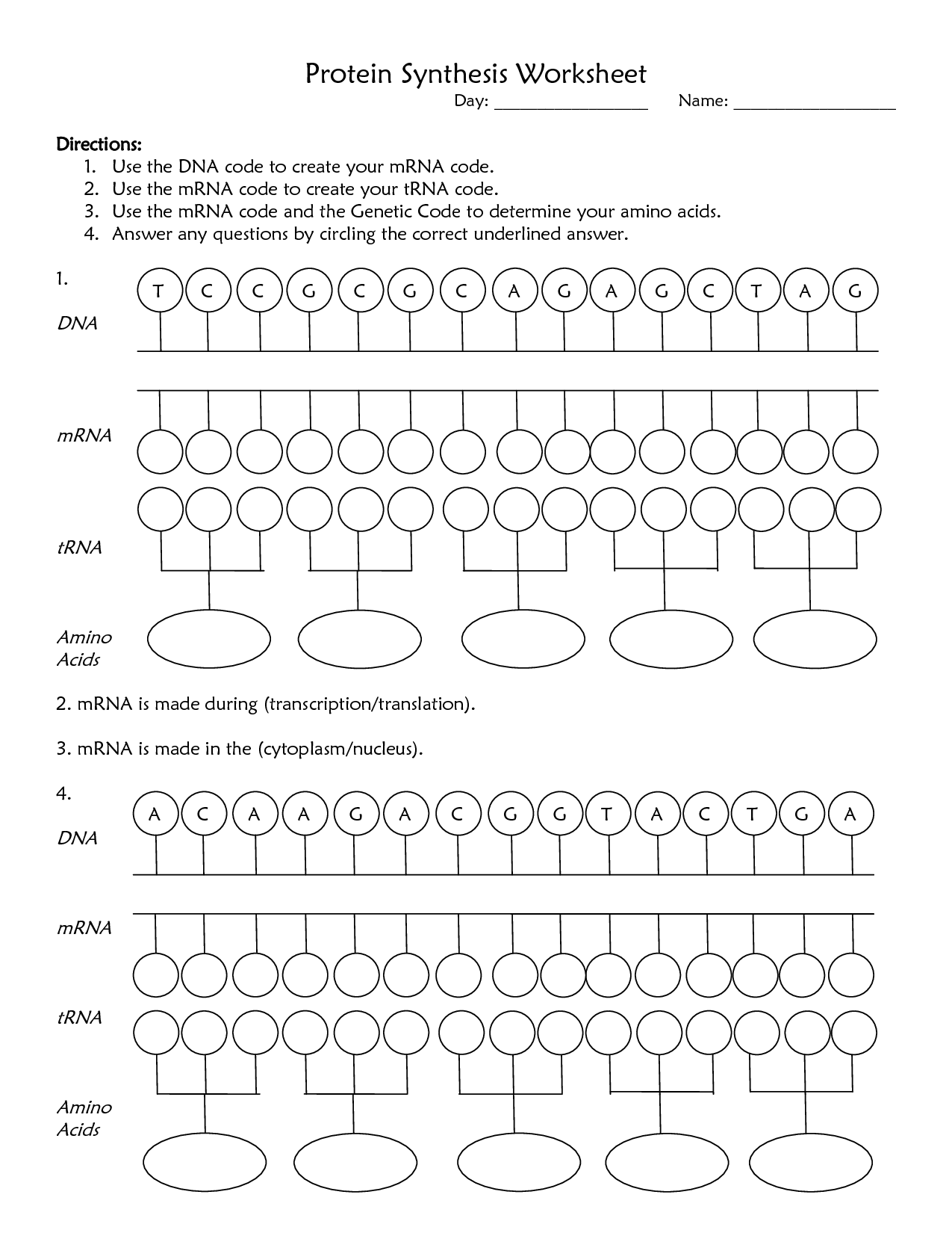 Protein Synthesis Worksheet Answer Key