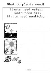 What Plants Need Worksheets