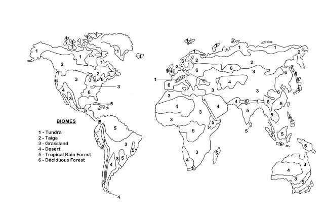 World Biome Map Coloring