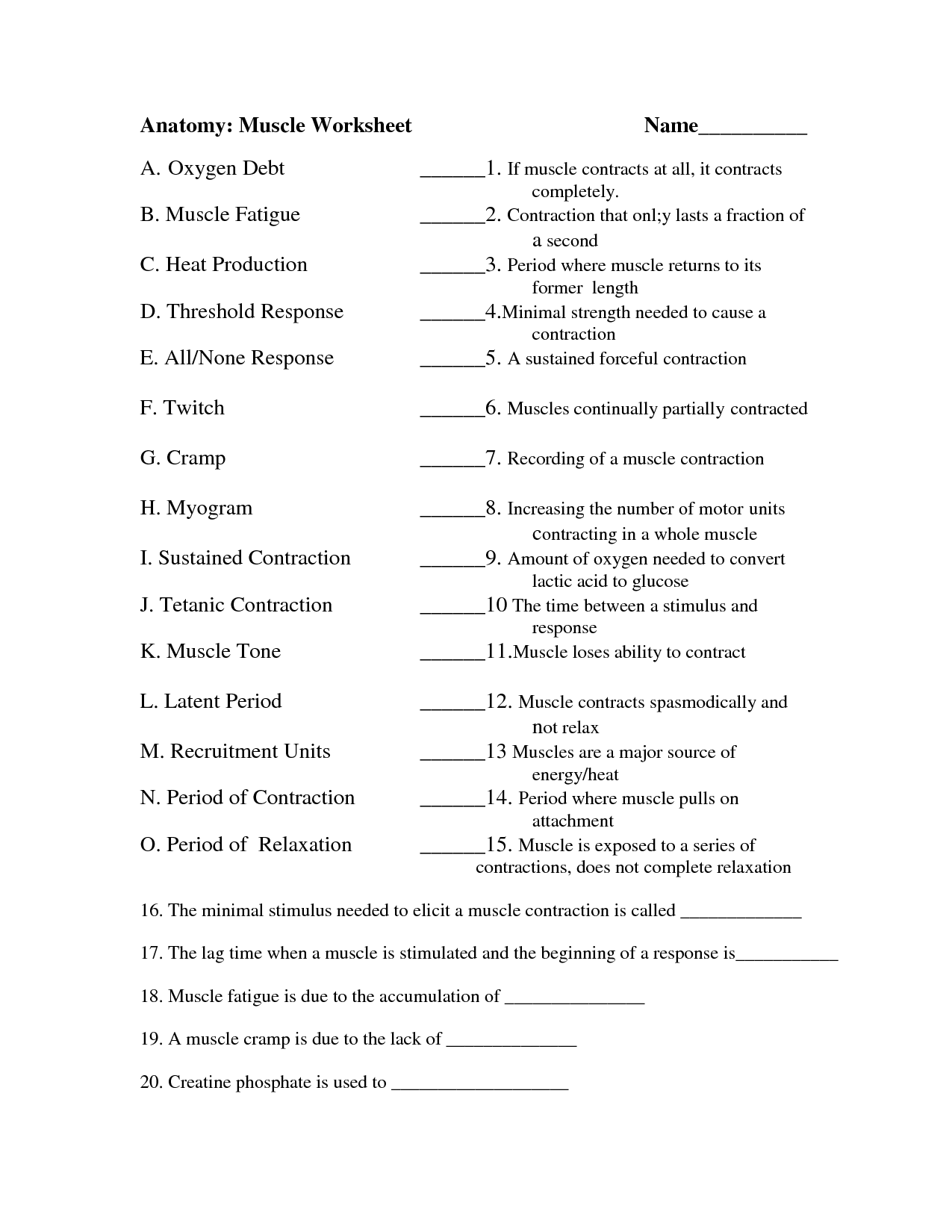 Anatomy and Physiology Muscle Worksheets