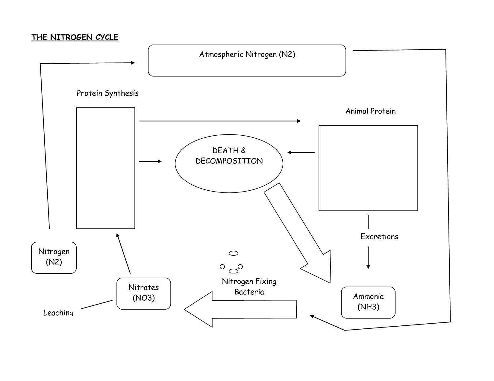 12 Water Cycle Diagram Blank Worksheet Worksheeto