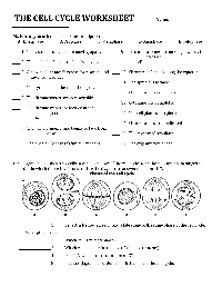 19 Best Images of Cells Worksheets Grade 7 - Plant and Animal Cell ...