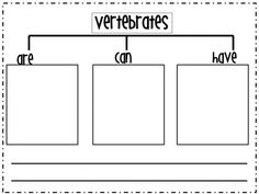 Vertebrates Classification Keys