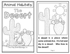 Desert Animal Habitat Projects